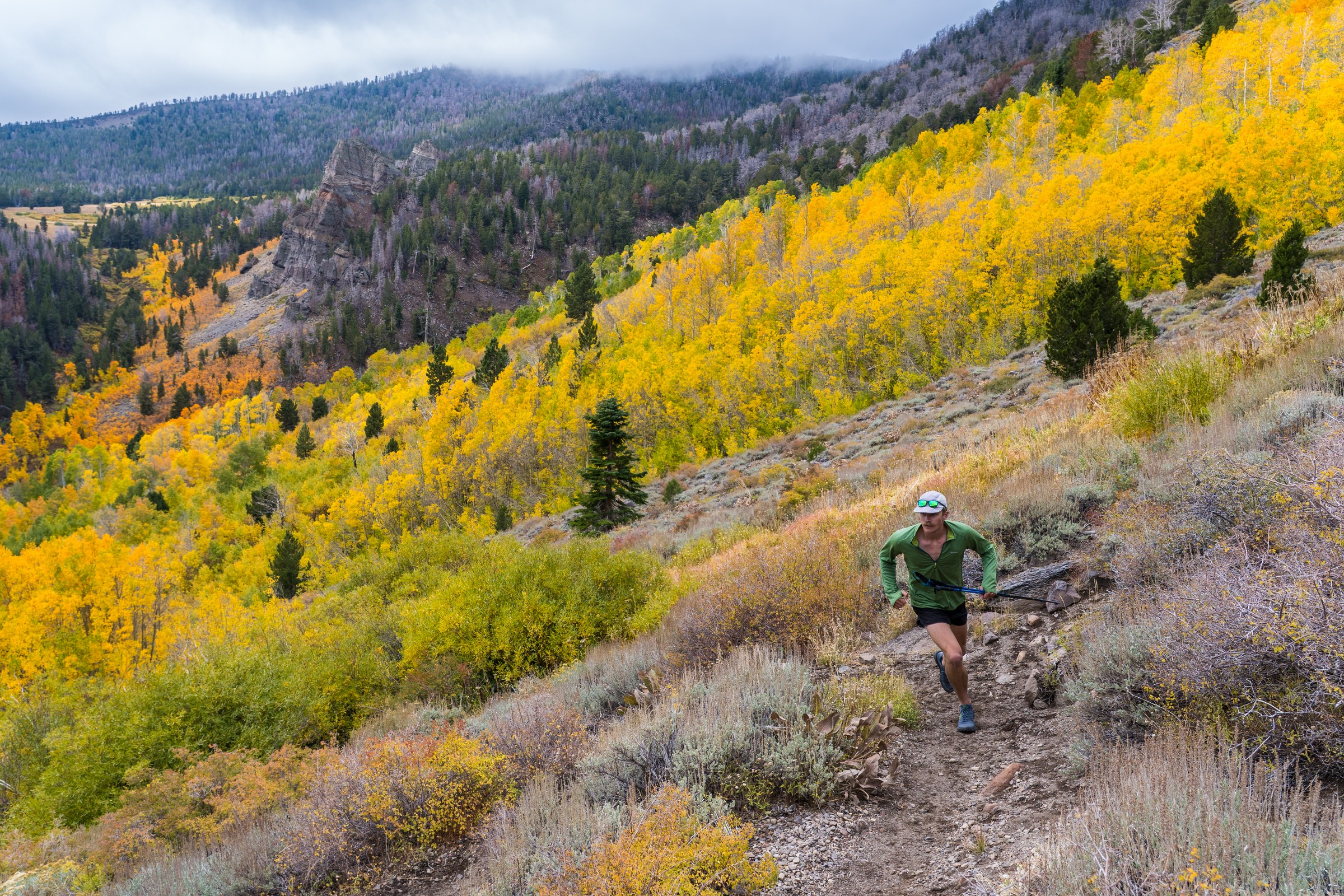 Trail runner through golden aspens in the Northern Sierra fall