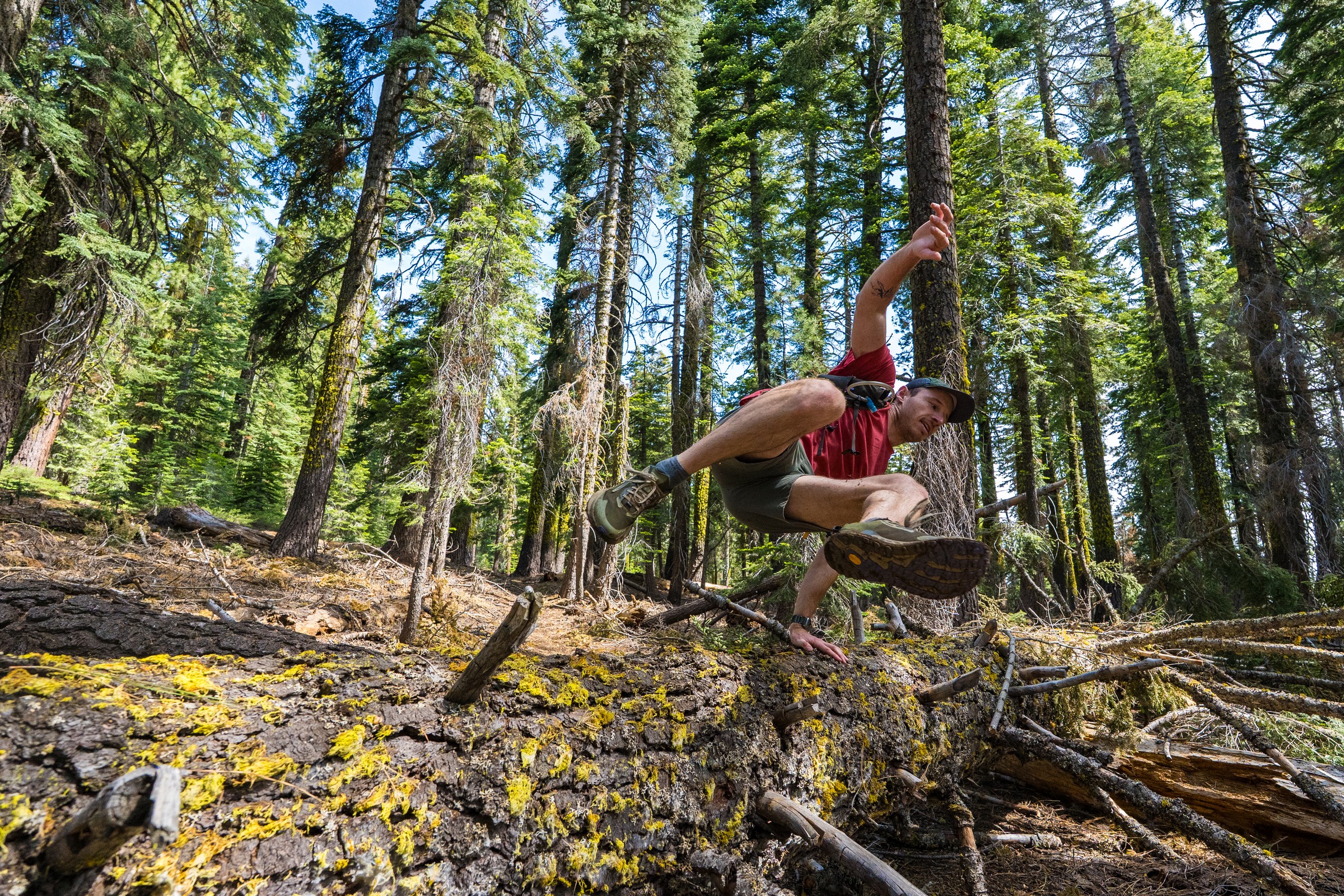 Trail runner in the Lakes Basin sub-region