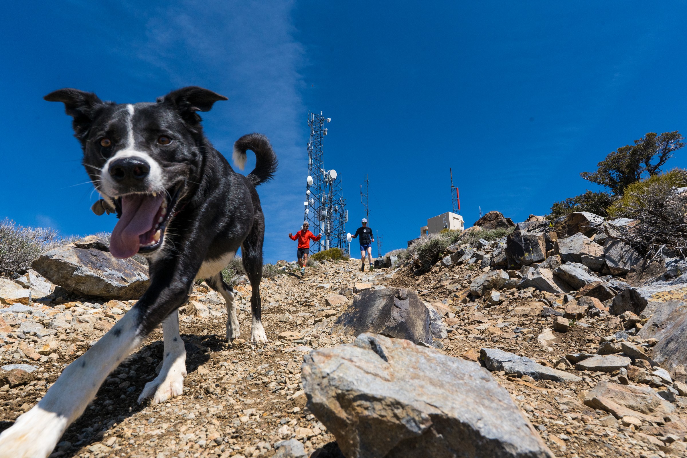 Trail runner in the Reno sub-region
